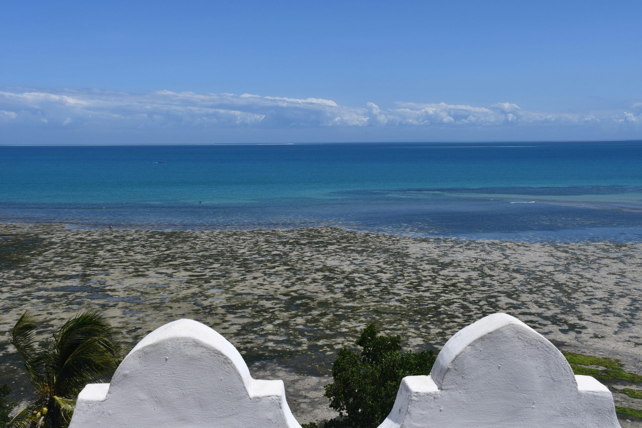 Serengeti Safari & Zanzibar Escape -photo - 1