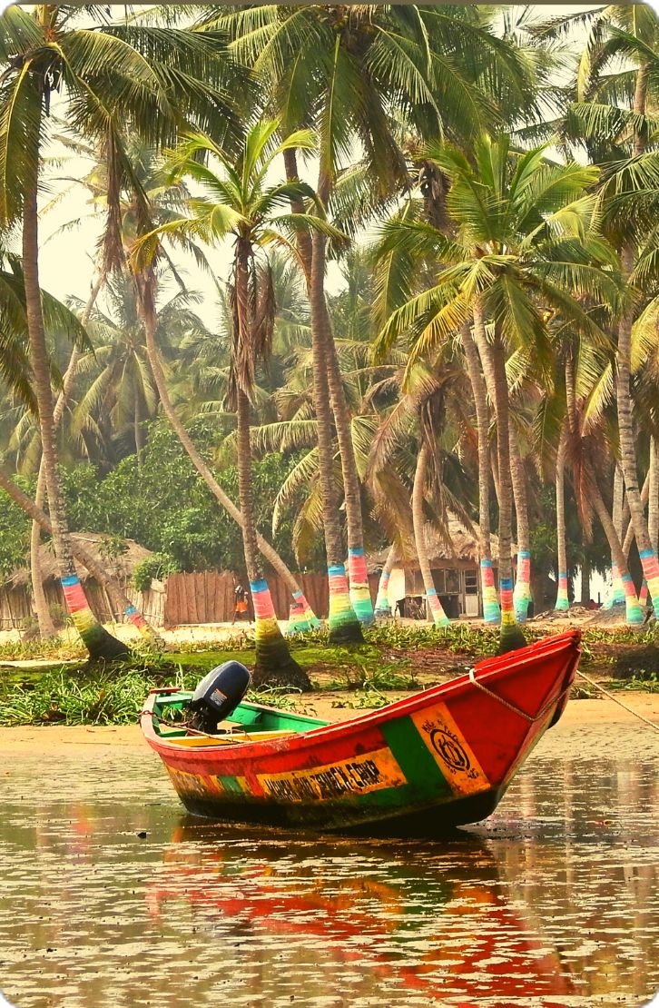 Tamicka’s Delta Sorority Ghana Experience photo 1